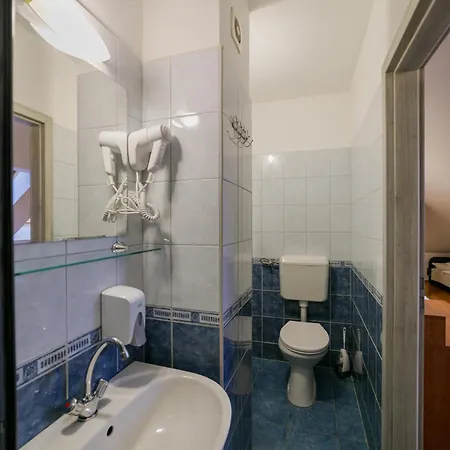 Borostyankert Etterem & Vendeghaz Penzion 3*