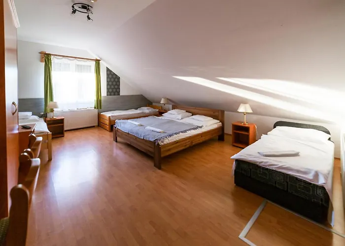 Borostyankert Etterem & Vendeghaz Sitke